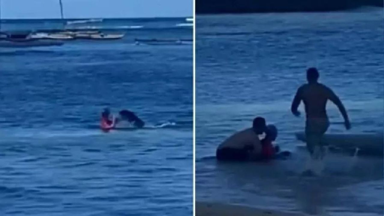 Banhista é atacada por foca depois de ignorar alerta em praia no Havaí