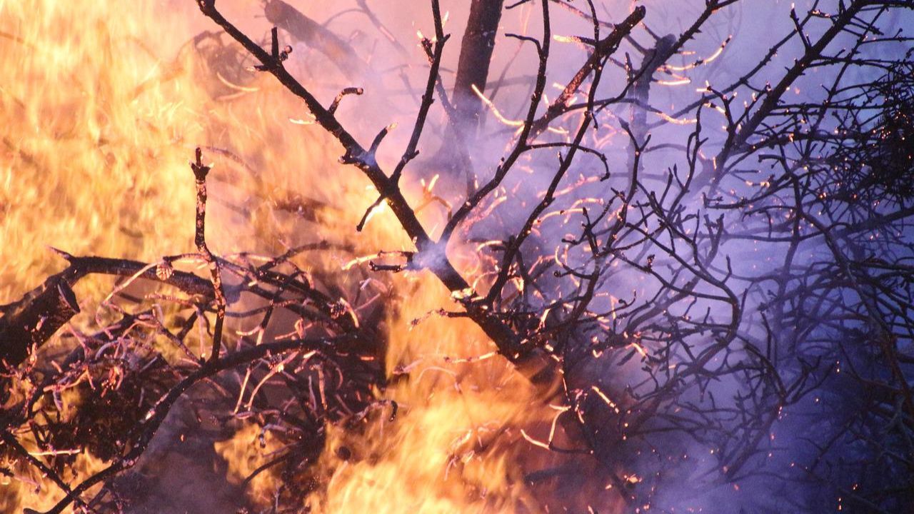 Mais de 40 pessoas morrem em incêndios criminosos na Argélia