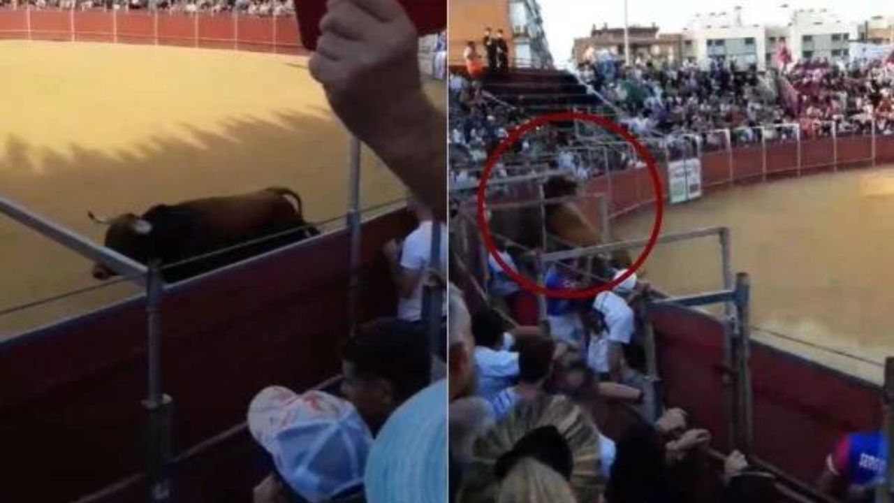 Homem morre depois de ser ferido por touro, na Espanha
