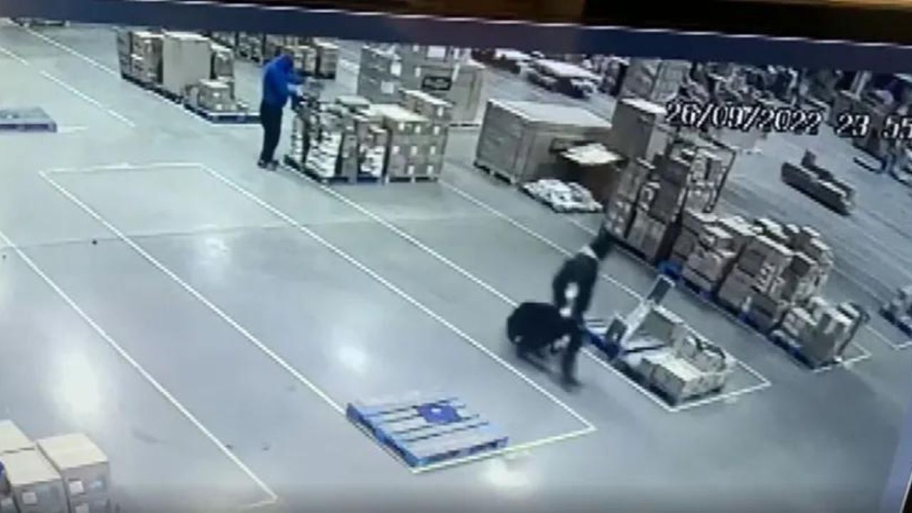 Quadrilha rouba dezenas de armas ao invadir galpão de transportadora