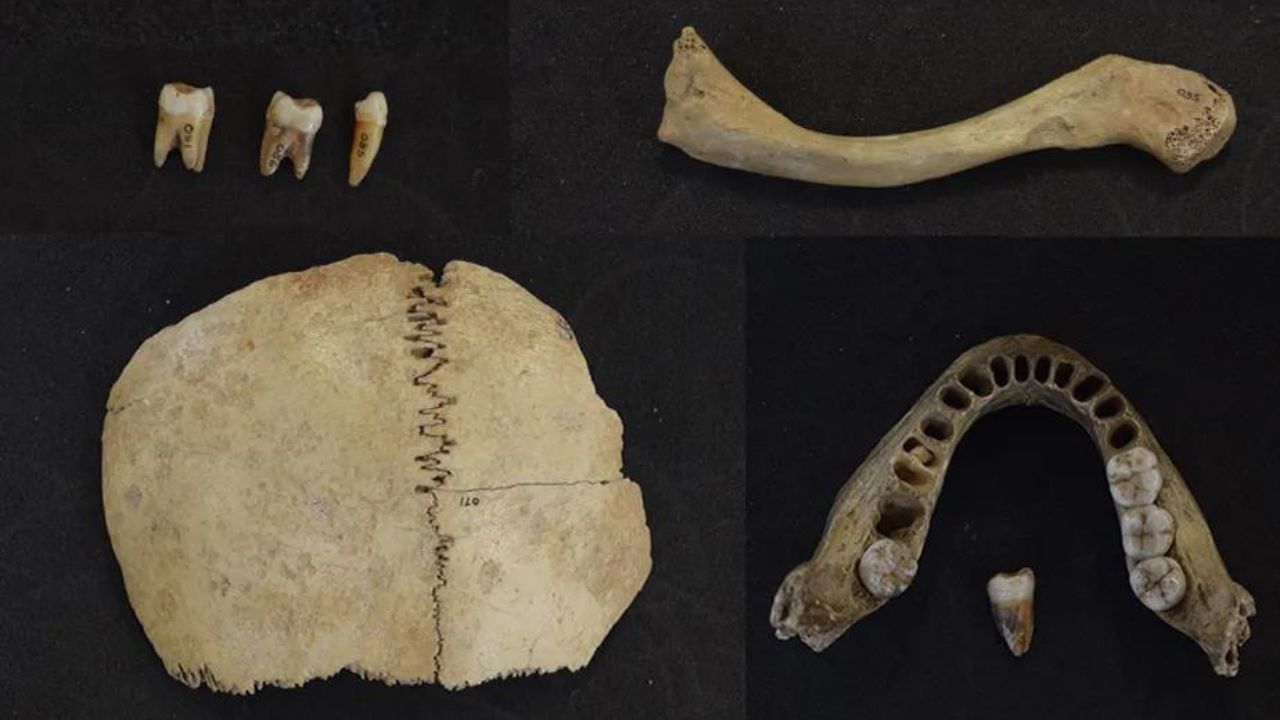 Pesquisa com DNA mais antigo do Reino Unido revela dois grupos pré-históricos desconhecidos