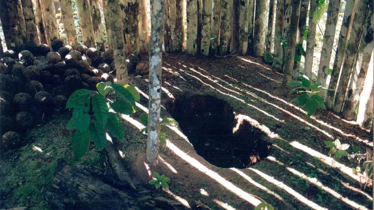 Justiça determina condições à Funai para funeral do ‘Índio do Buraco’