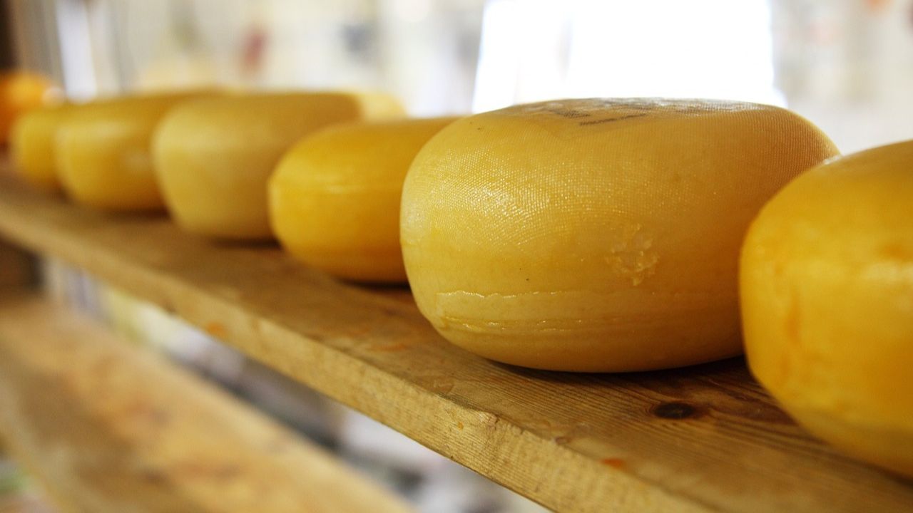 Empresa norte-americana irá pagar para pessoas comerem queijo antes de dormir