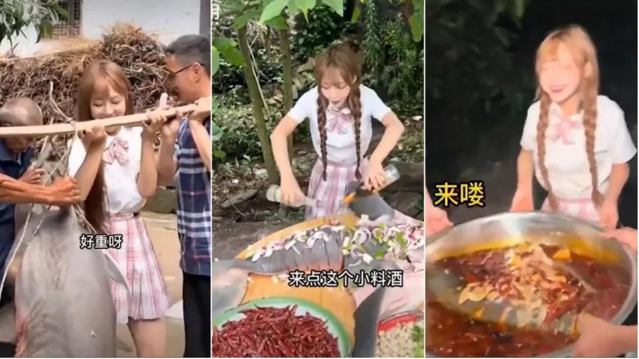 Influencer é multada por comprar e cozinhar carne de tubarão-branco