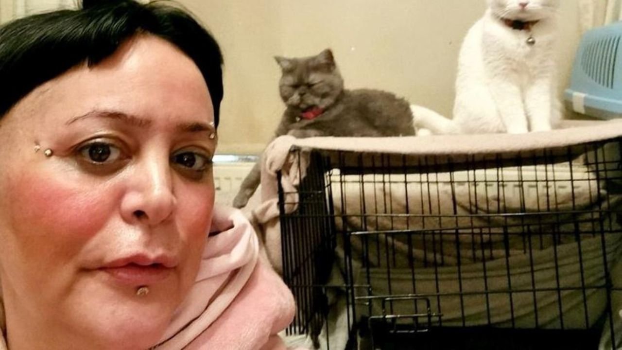 Mulher perde 30 quilos por deixar de comer para alimentar seus gatos: ‘não é justo abandoná-los’