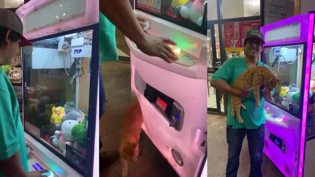 Em vídeo, homem tem surpresa ao usar máquina de pelúcias em posto de gasolina