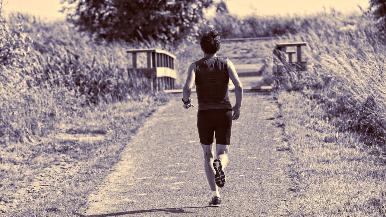 Estudo aponta que correr todos os dias pode levar a um tipo de ‘válvula de escape’