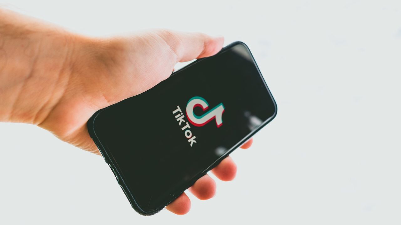 TikTok virou arma da ultradireita alemã e impulsionou candidato revisionista
