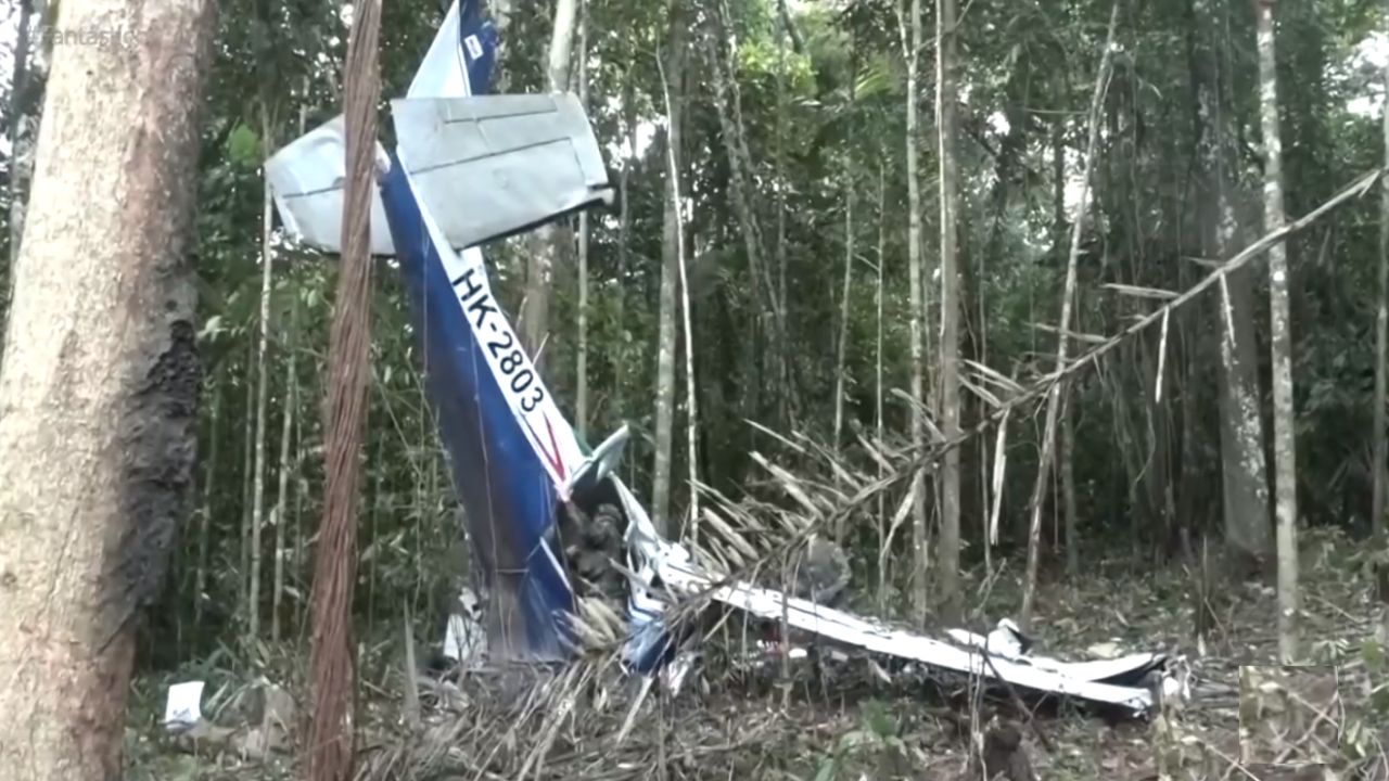 O que comeram as crianças encontradas na Amazônia colombiana após 40 dias?