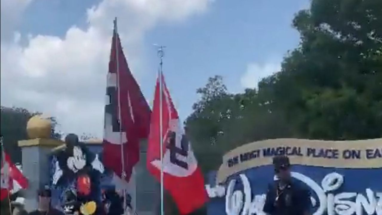 Cantora P!nk condena presença de símbolos nazistas em protesto nos EUA
