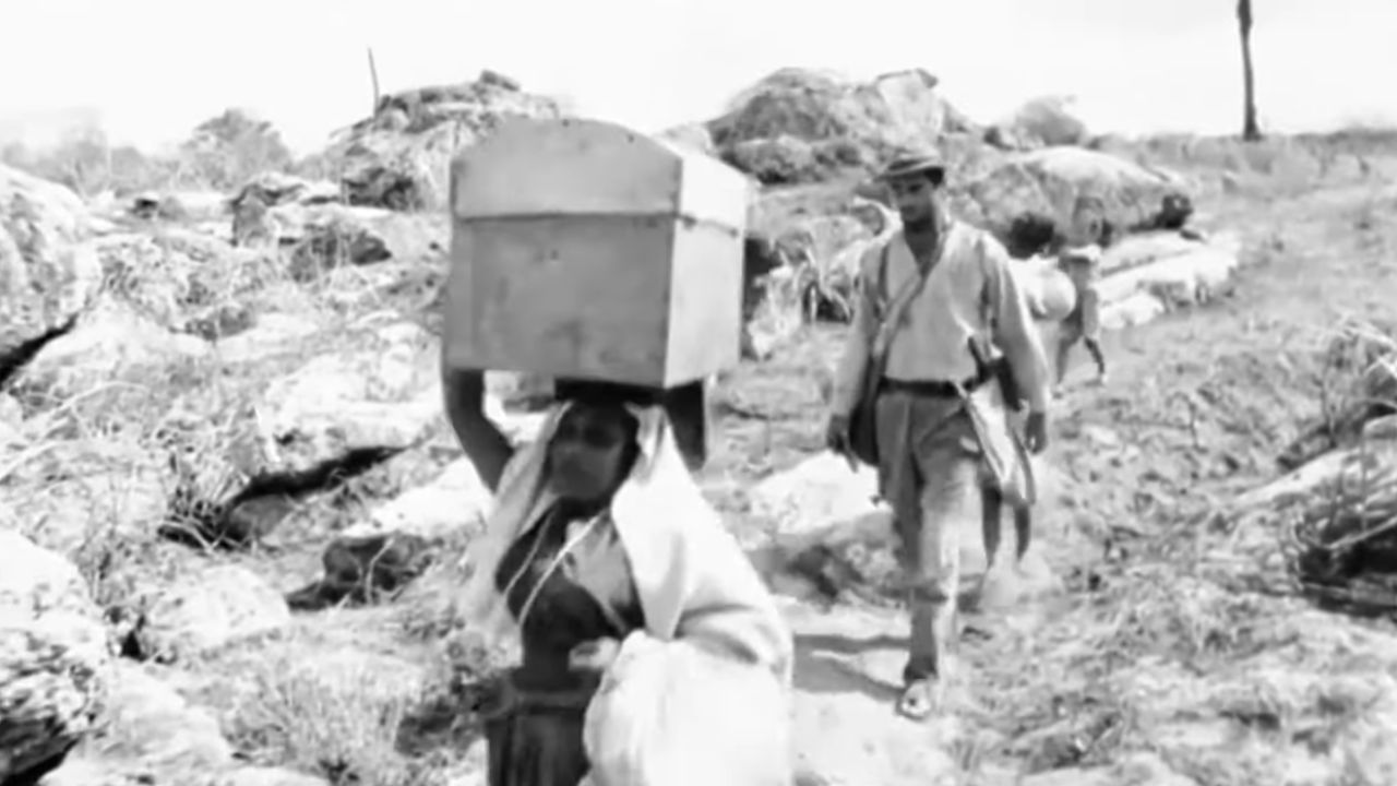 144 filmes nacionais que se encontravam na Itália são repatriados