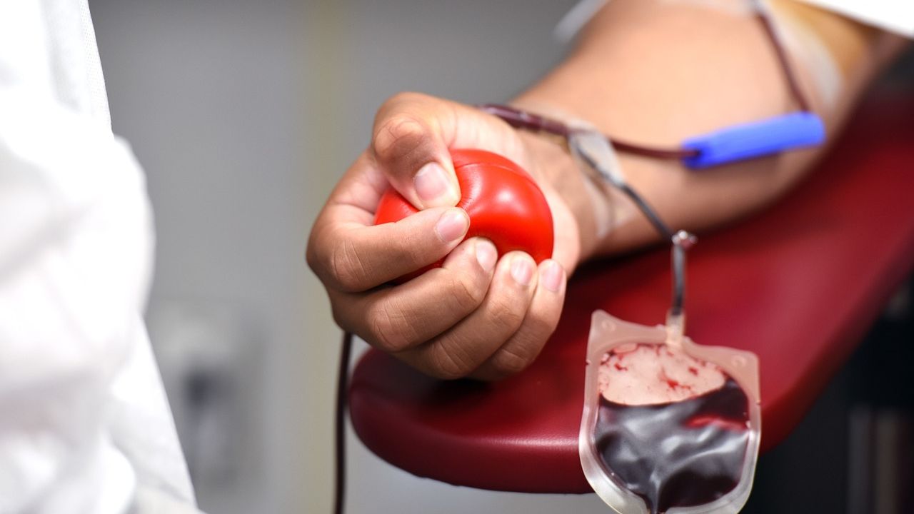 Após decisão da Cruz Vermelha, homossexuais e bissexuais poderão doar sangue nos EUA