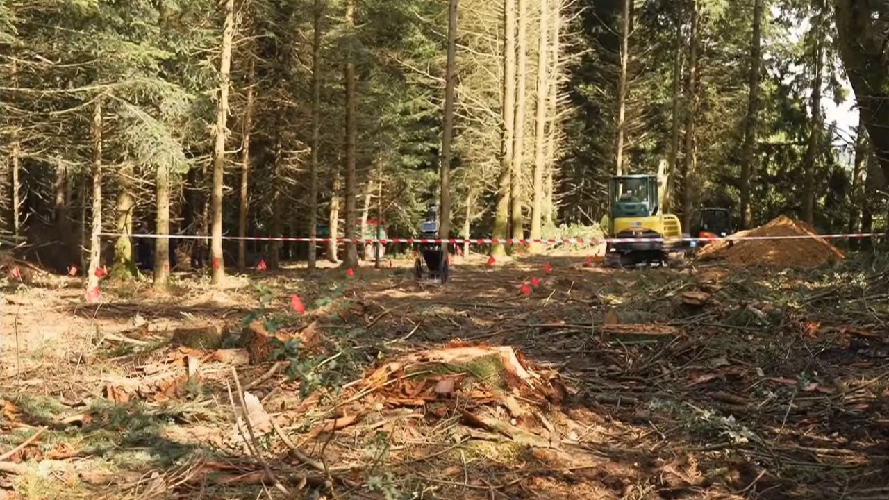 França dá início a escavações em vala à procura de soldados mortos na Segunda Guerra
