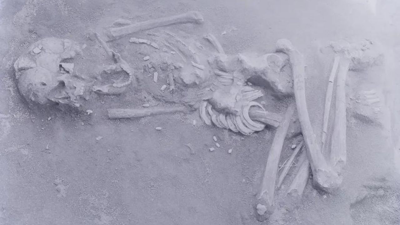 Estudo sugere teoria sobre crânios deformados encontrados em sítio arqueológico do Japão