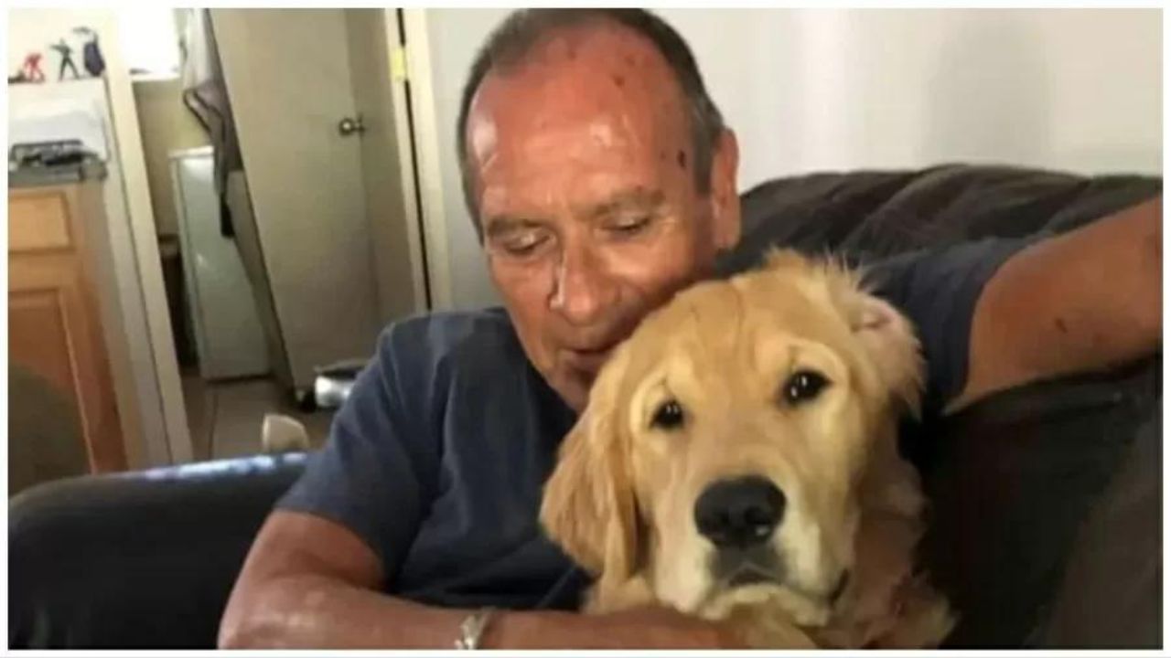 No Havaí, homem morre carbonizado ao tentar salvar cão durante incêndio