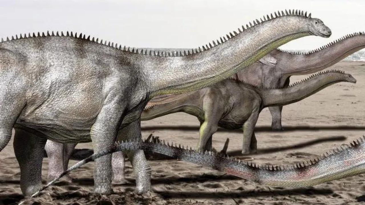Pesquisadores encontram ‘creche’ de dinossauros em sítio paleontológico na Bolívia