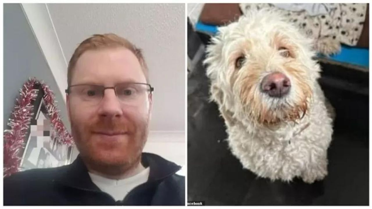 Durante buscas por cão furtado polícia inglesa encontra tutor morto