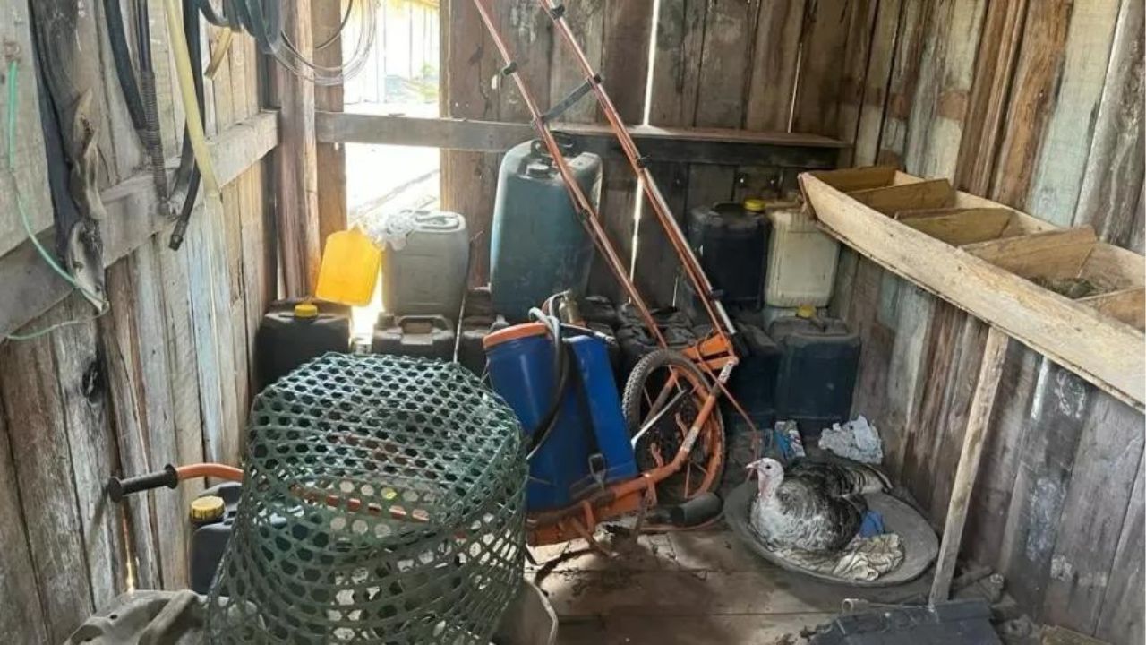 Mais de 200 pessoas são resgatadas em condição análoga à escravidão no Pará