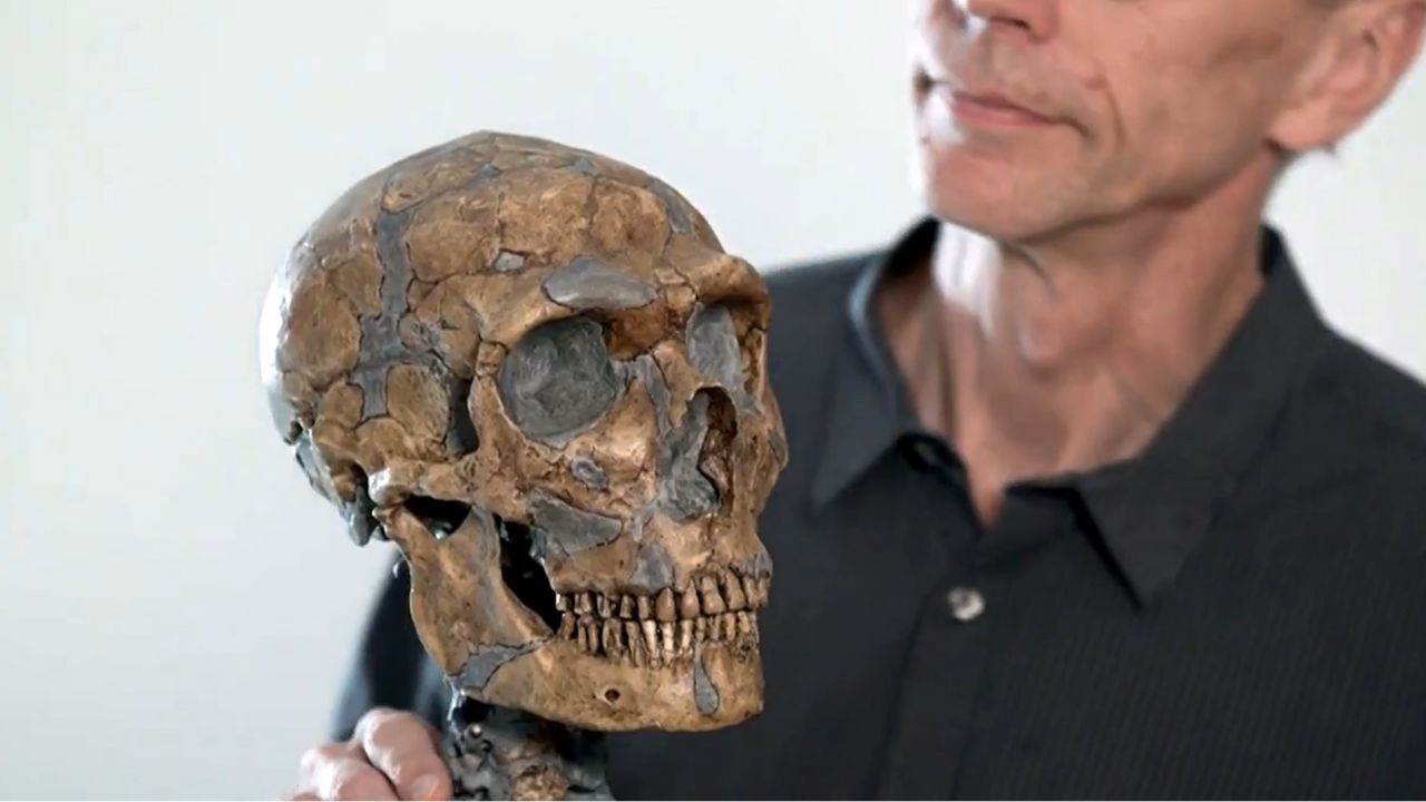 Humanidade quase foi extinta há cerca de 900 mil anos, aponta pesquisa
