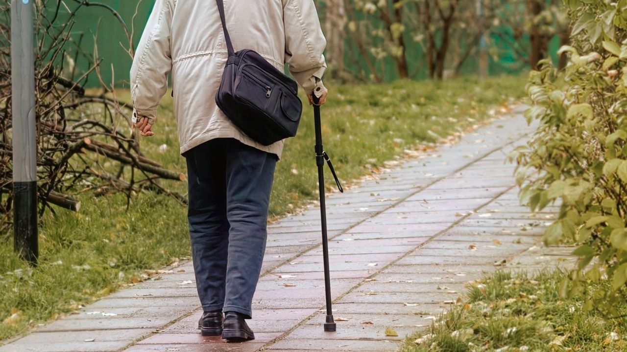 Japão bate novo recorde de pessoas centenárias — e população com mais de 80 anos já ultrapassa os 10%