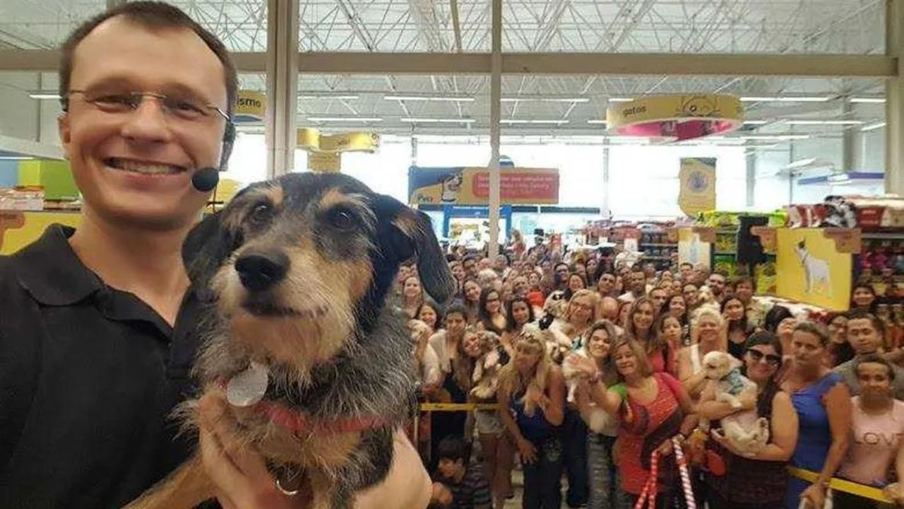 Morre Estopinha, a primeira influenciadora pet do Brasil