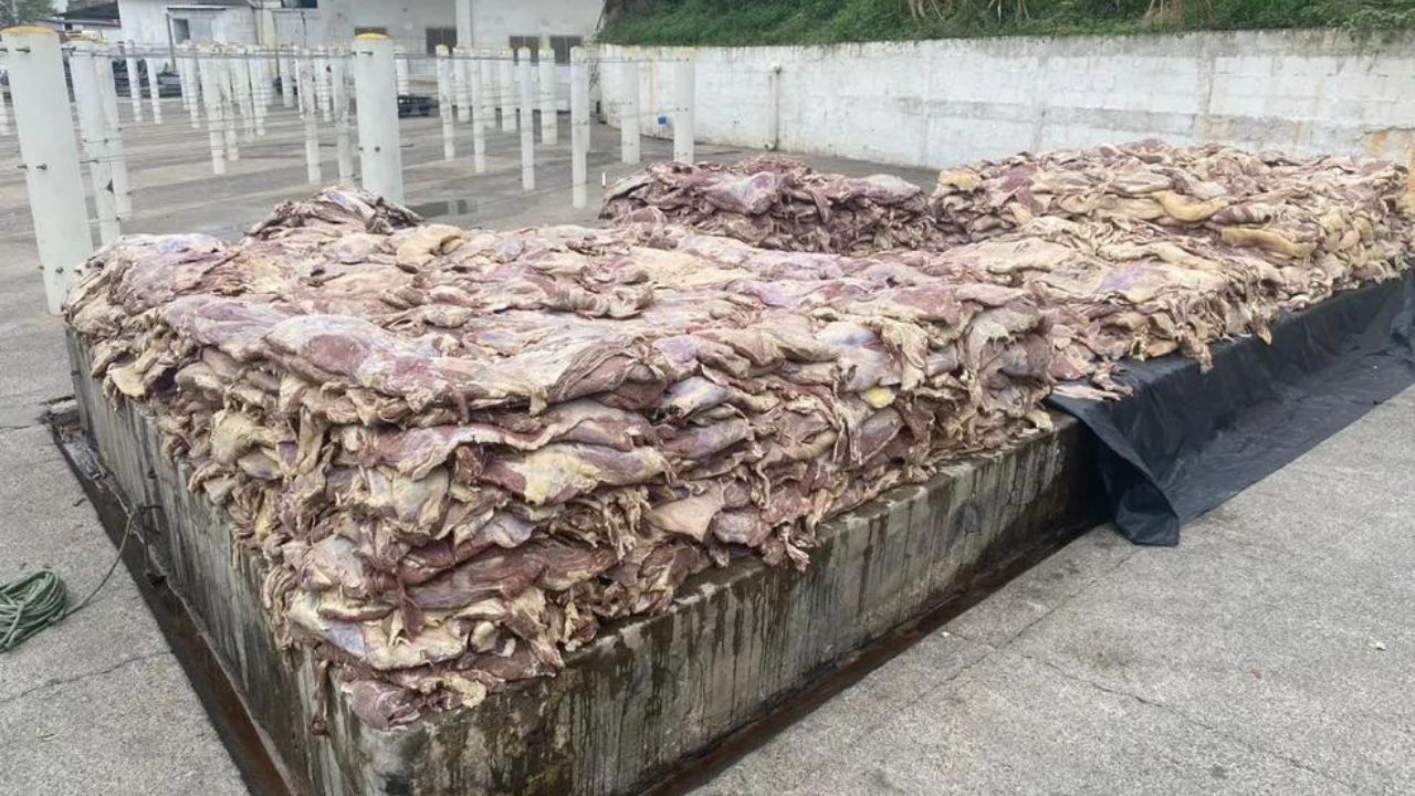 Polícia de Carapicuíba encontra 200 toneladas de carne podre que seriam comercializadas