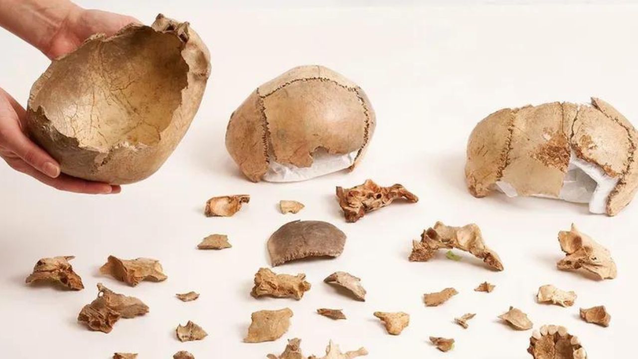 Há 15 mil anos, canibalismo era uma prática comum em funerais na Europa