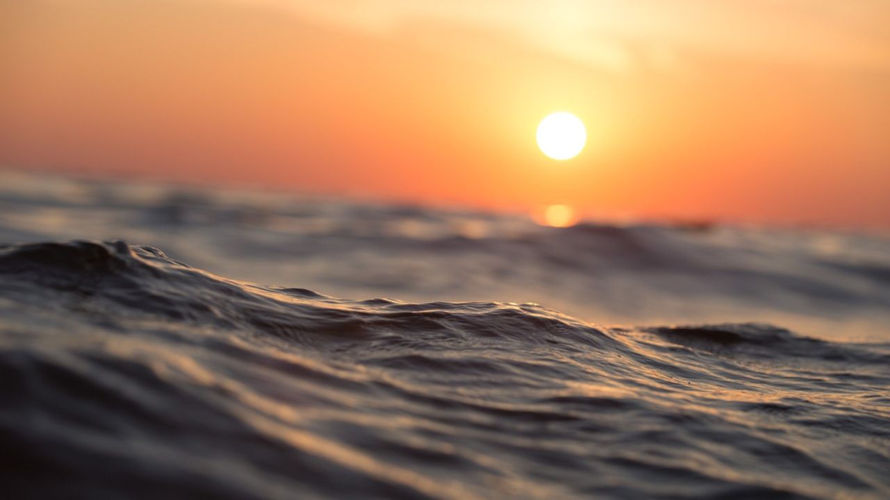 Até 2100, oceanos se tornarão 5 vezes mais barulhentos, aponta estudo