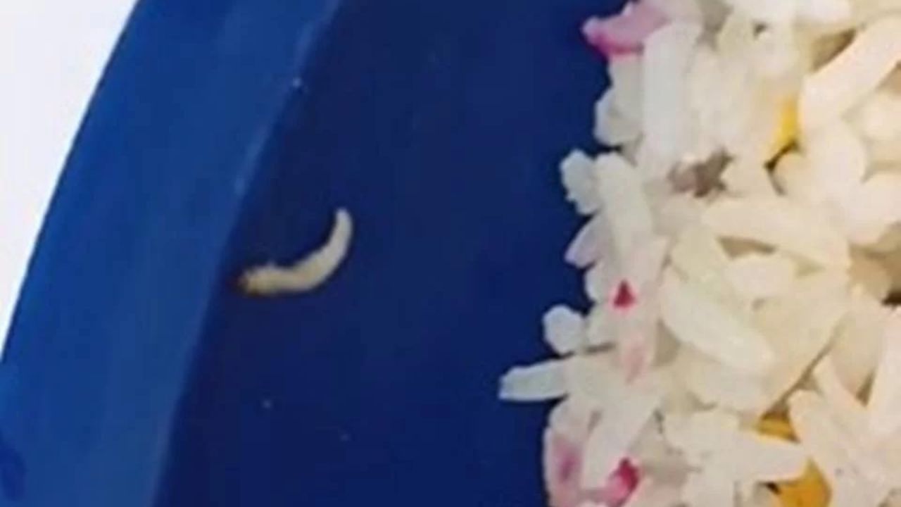 Estudantes encontram larvas em merenda escolar no Distrito Federal