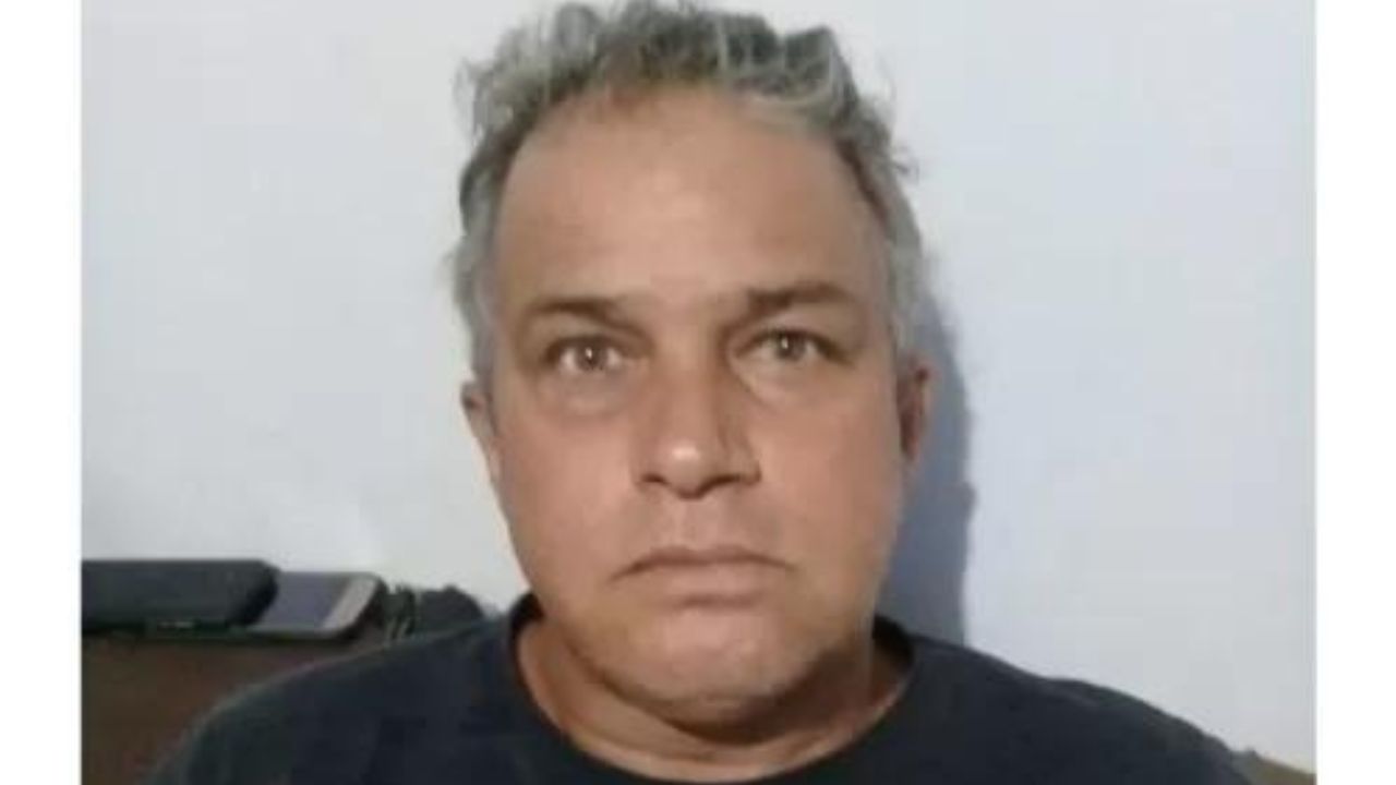 Homem atacado por 70 abelhas fala sobre os momentos angustiantes que viveu