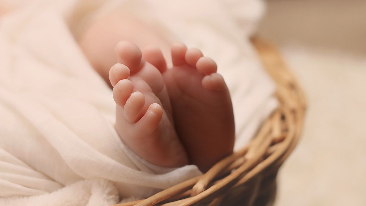 Gêmeas nascem em dias, meses e anos diferentes na Croácia