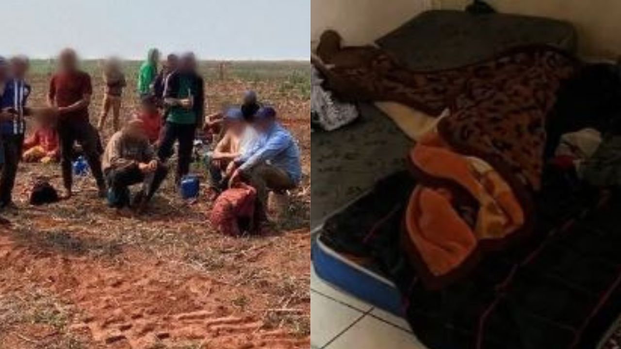 Paraguaios trabalhavam em condições análogas a escravidão no Mato Grosso do Sul