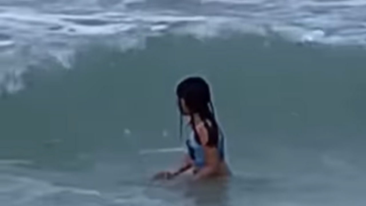 Vídeo: Garota de 6 anos é surpreendida por tubarão enquanto brinca na praia
