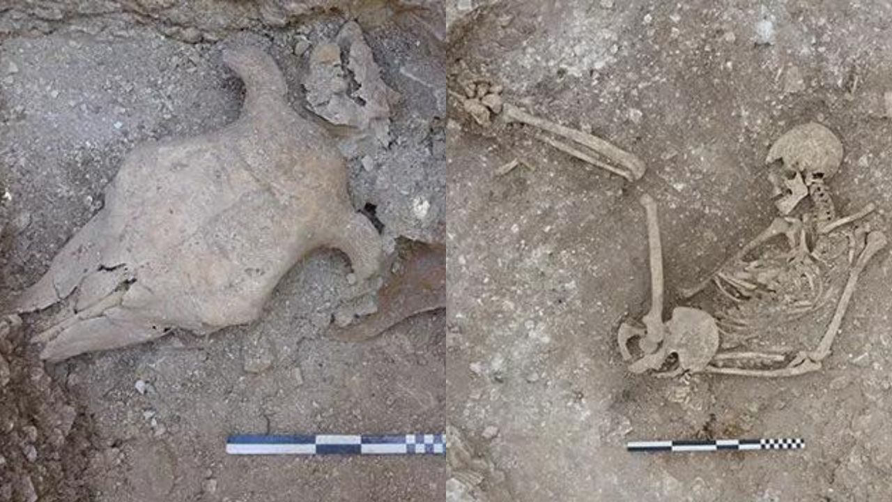 Rituais com restos de animais e ossos humanos de 2 mil anos são encontrados na Inglaterra