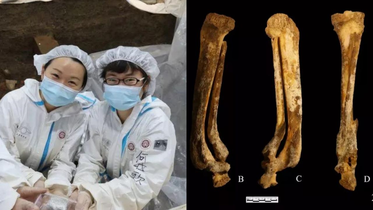 Esqueleto de mulher amputada evidencia punições da China Antiga