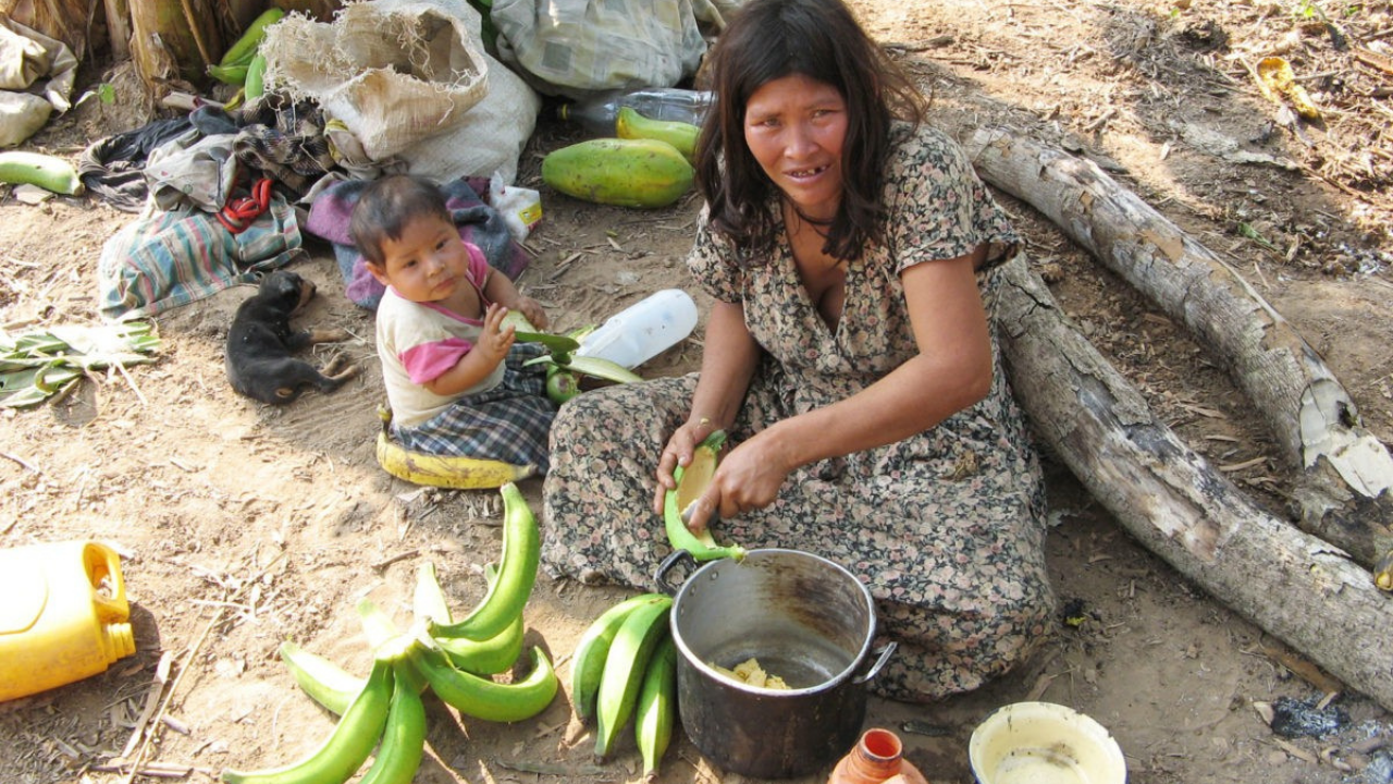 Tsimane, o povo indígena cujos cérebros envelhecem lentamente