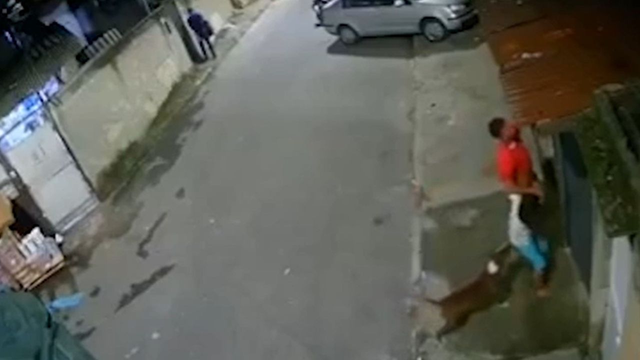 Após ter perna dilacerada por cão, menino ‘não derramou uma lágrima’, diz mãe