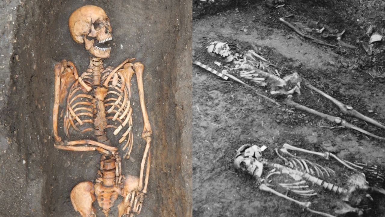 Esqueletos de pessoas vitimadas pela peste bubônica revela característica curiosa