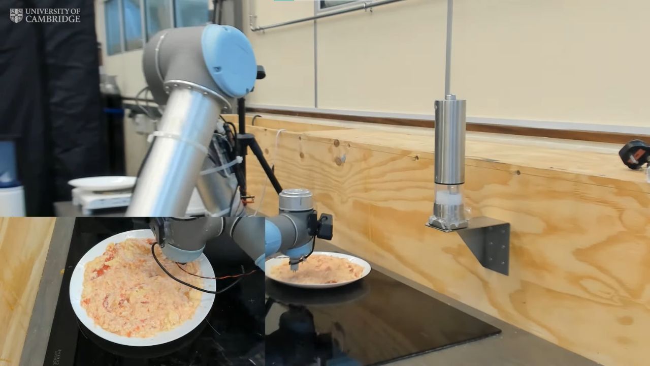 Vídeo: ‘Chef robô’ consegue detectar precisão de temperos em pratos