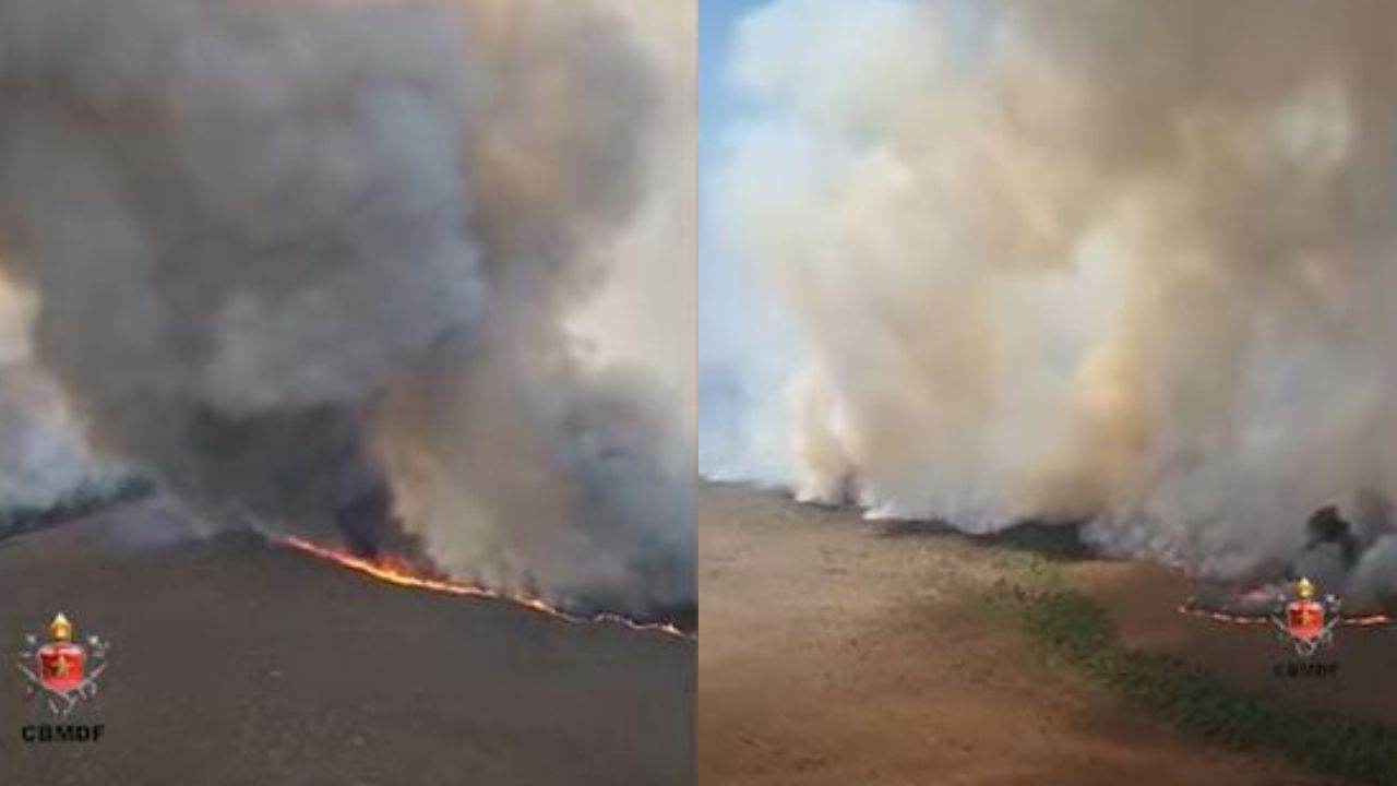 Incêndio no Parque Nacional de Brasília ocorre após período de baixa umidade