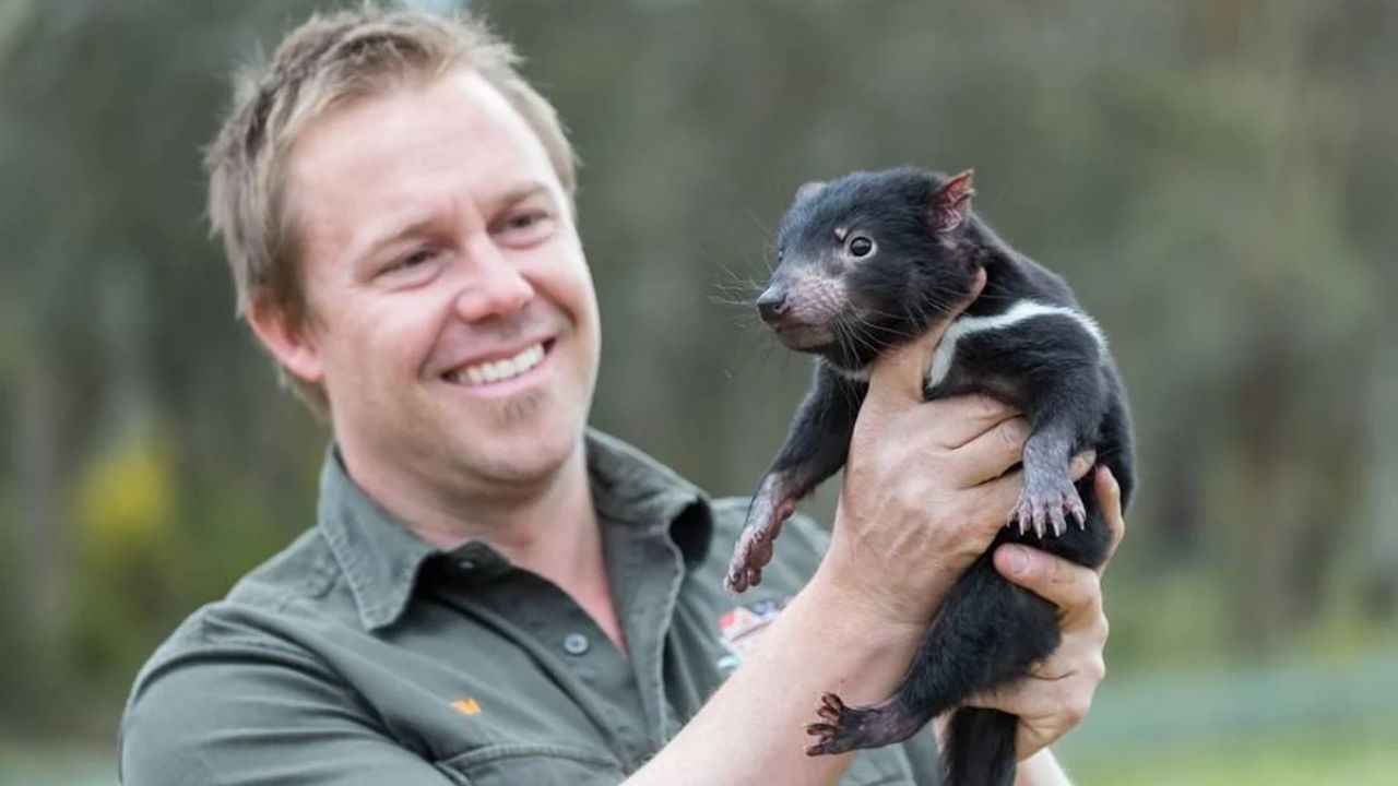 Depois de 3 mil anos, diabos-da-tasmânia voltam a aparecer na Austrália continental