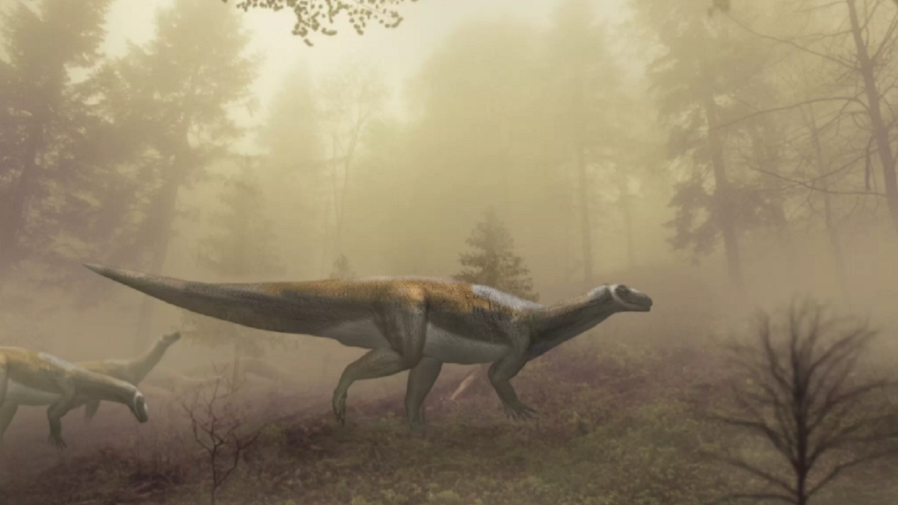 Estudo em pata desmistifica fama ‘assassina’ de dinossauro