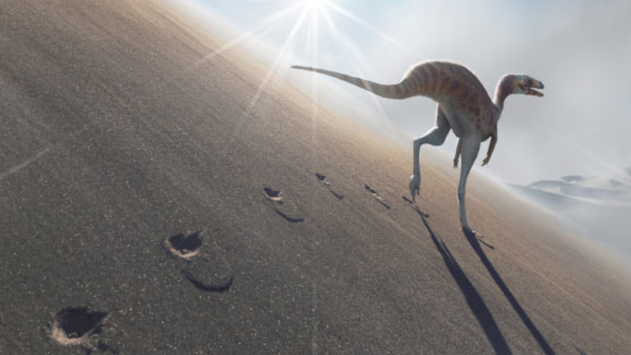 Descoberta: Pesquisadores encontram nova espécie de dinossauro corredor em SP