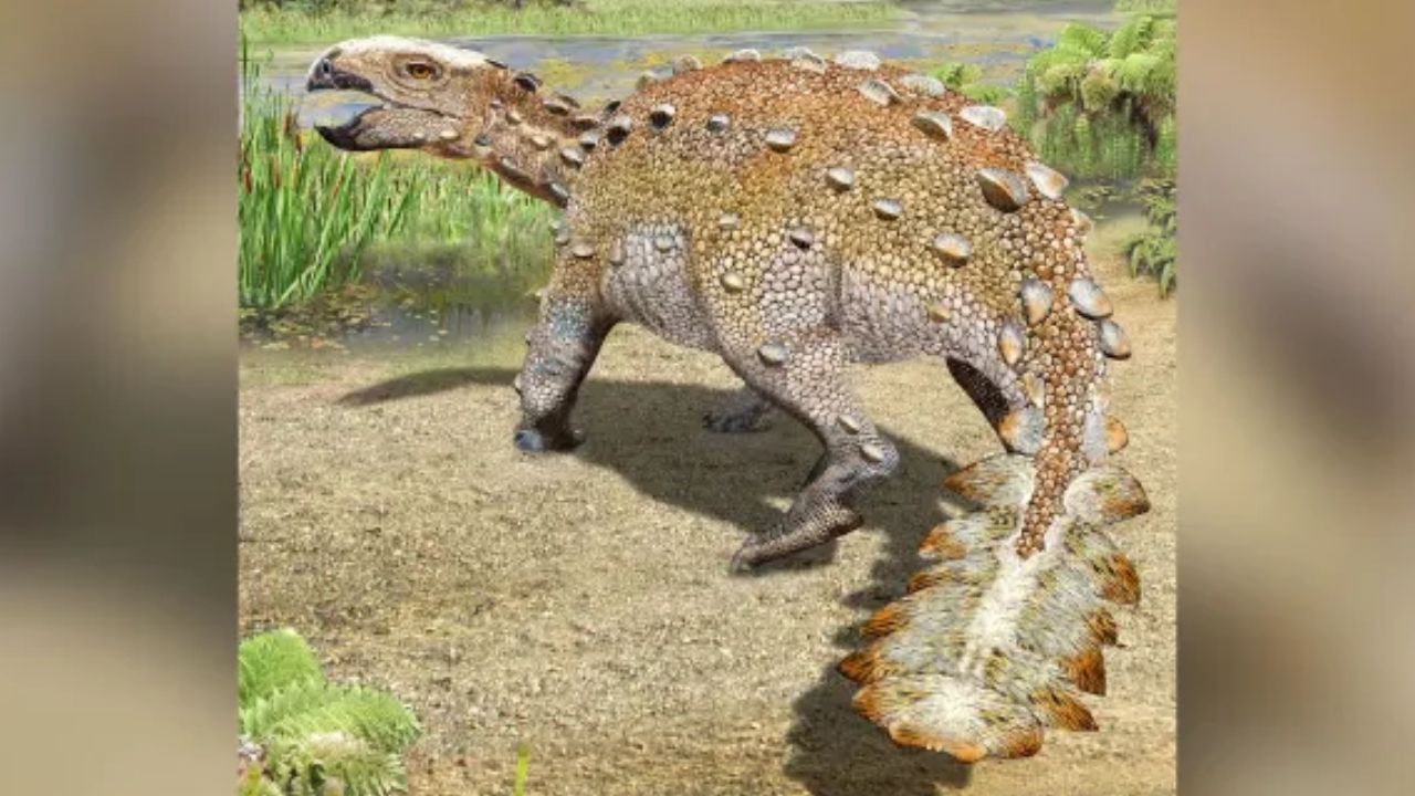 Pesquisadores descobrem dinossauro com cauda armada no Chile