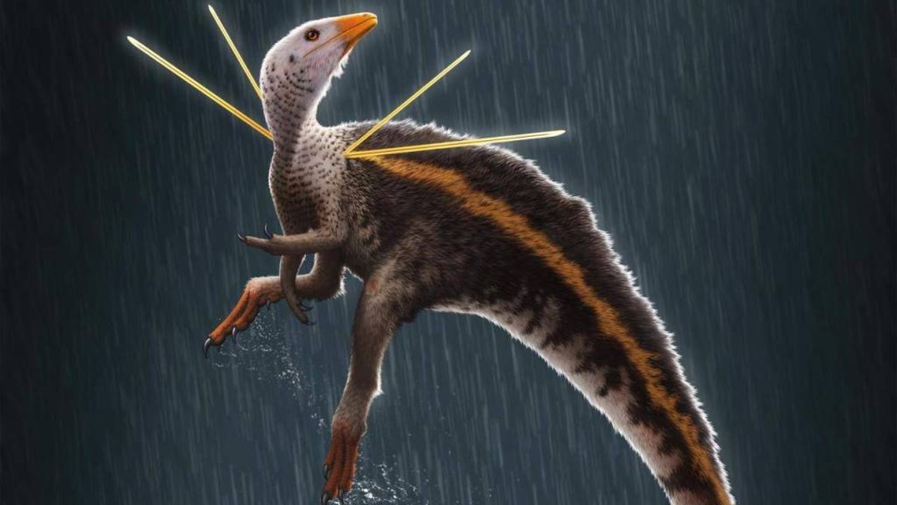 Concepção artística do dinossauro brasileiro Ubirajara jubatus