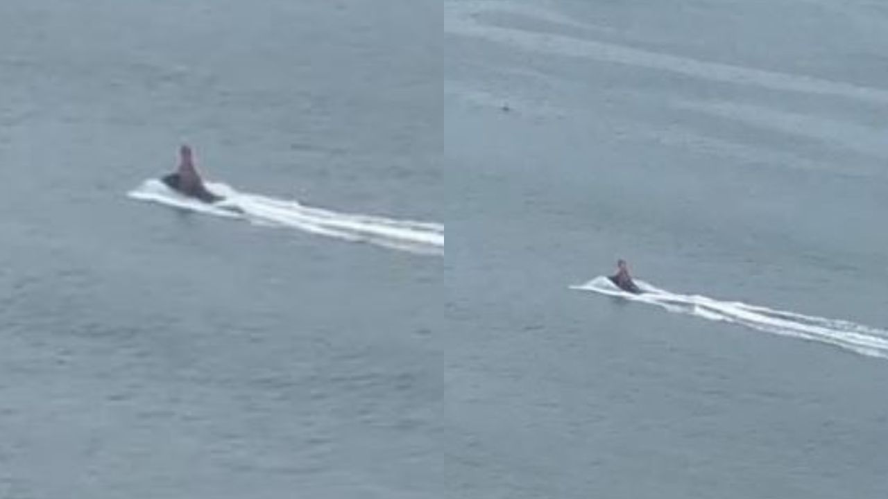 “Dinossauro” pilotando moto aquática chama a atenção de banhistas em SC