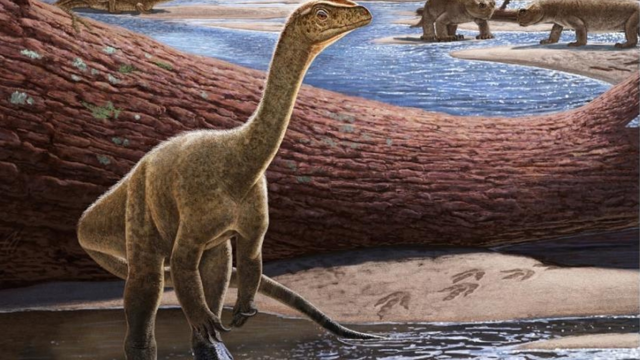 Dinossauro mais antigo da África tinha “vizinhos” brasileiros
