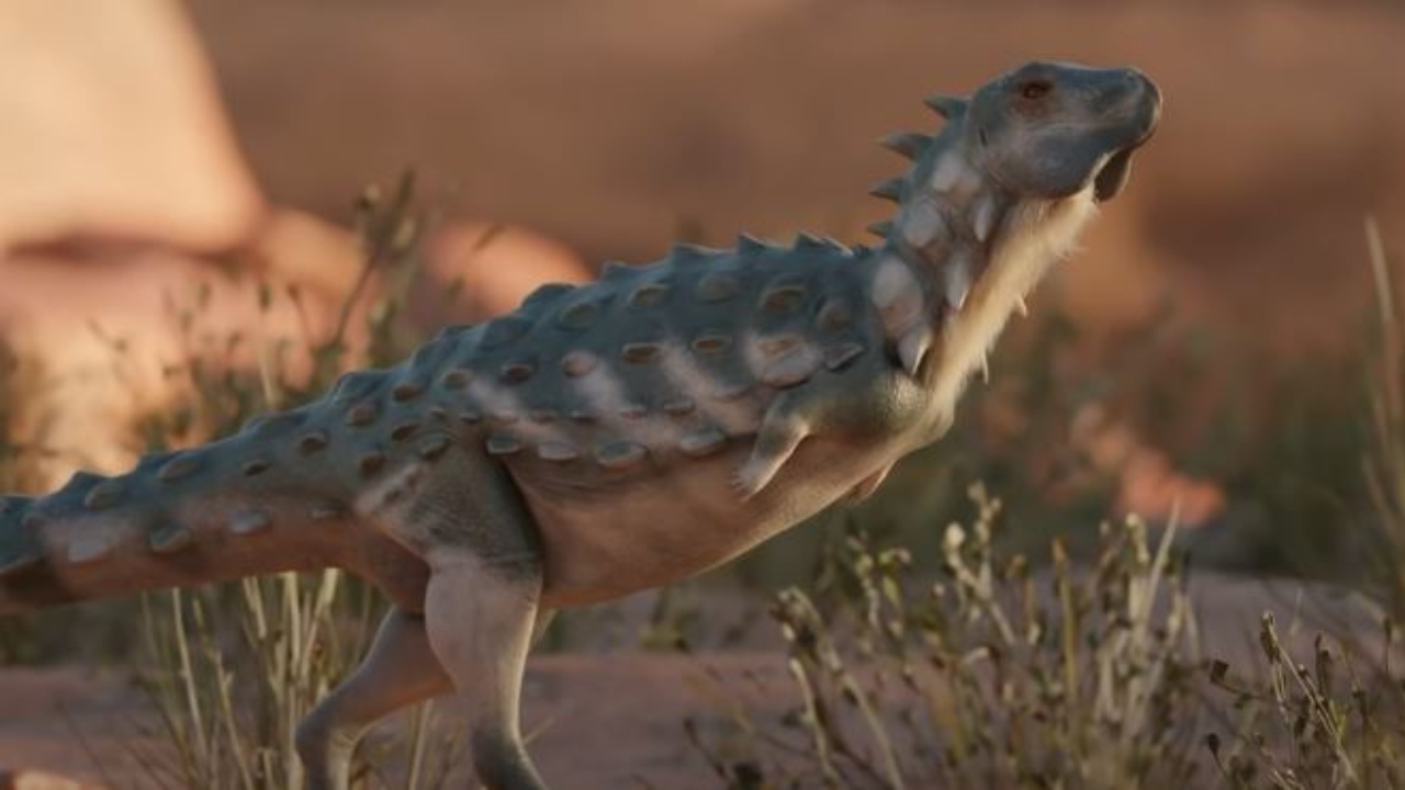 Na Argentina, primeiro dinossauro ‘blindado’ da América do Sul é descoberto