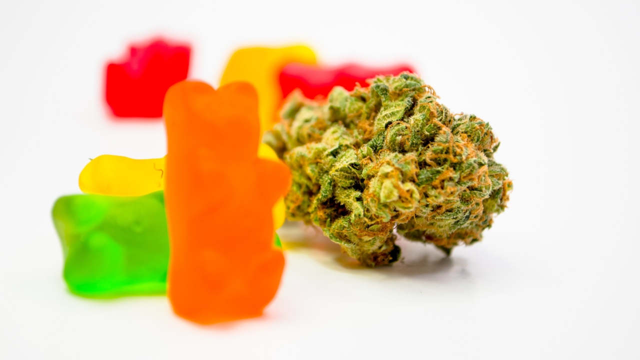 Consumo acidental de produtos à base de cannabis por crianças cresce nos EUA