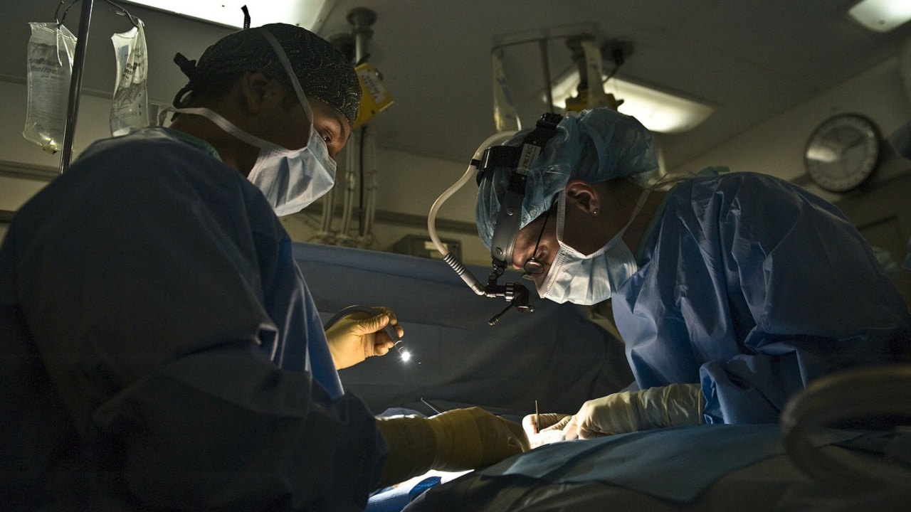 Homem com morte cerebral recebe transplante de rins de porco